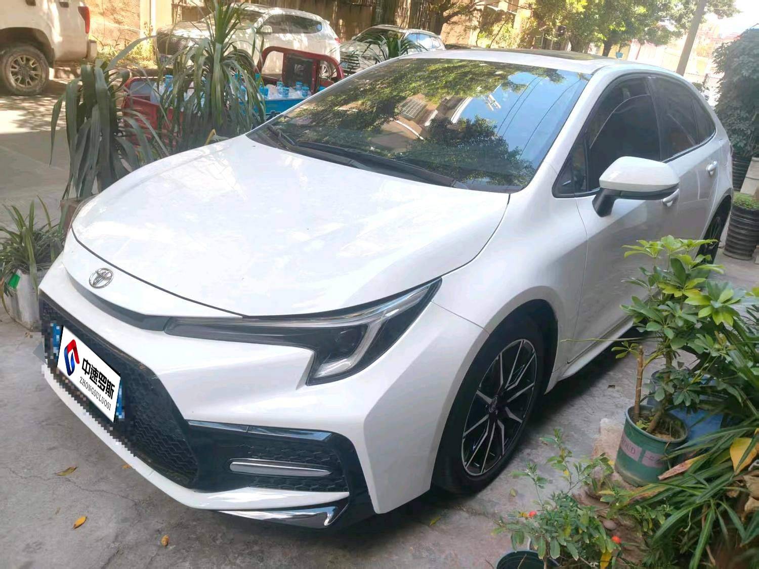 Lei Ling 2023 185T CVT Sports Edition